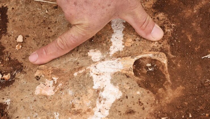 Diyarbakır’da yüz milyonlarca yıl önceye ait fosiller bulundu