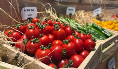 Domates, biber ve salatalık tohumları Türkiye’den yurt dışına gidiyor