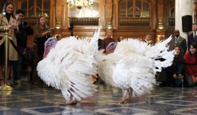 Donald Trump, Şükran Günü nedeniyle iki hindiyi affetti