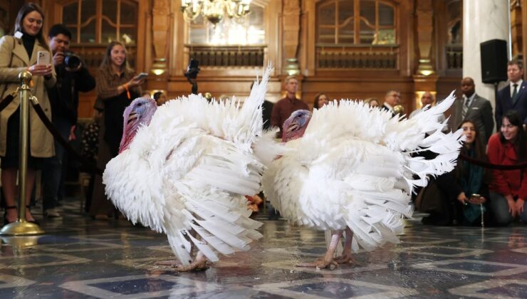 Donald Trump, Şükran Günü nedeniyle iki hindiyi affetti