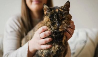 Dünyanın bilinen en yaşlı kedisi 30 yaşına girdi