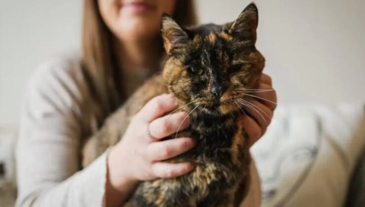 Dünyanın bilinen en yaşlı kedisi 30 yaşına girdi