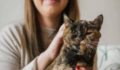 Dünyanın bilinen en yaşlı kedisi Flossie, 30 yaşına girdi