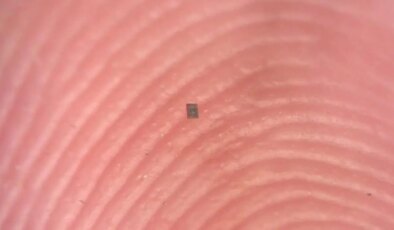 Dünyanın en küçük programlanabilir robotu geliştirildi