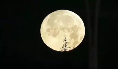 En uzun gecede ne yapılır? Kış gündönümünü özel kılan 12 aktivite