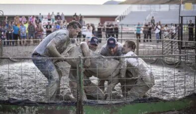 Erkek yasağıyla geri dönen domuz güreşi tartışma yarattı