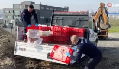 Esenyurt’ta halk sağlığını tehdit eden işletme mühürlendi: Kaçak ve sağlıksız 1 ton tavuk eti imha edildi