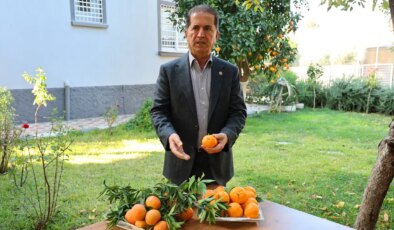 Fiyatı geriledi, Türkiye’nin en ucuz meyvesi oldu: Dalında 3, pazarda 5 lira