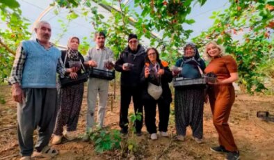 Fiyatı üreticinin yüzünü güldürdü: ‘Yıkamadan yiyebilirsiniz’
