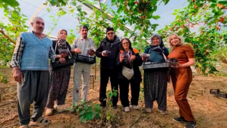 Fiyatı üreticinin yüzünü güldürdü: ‘Yıkamadan yiyebilirsiniz’