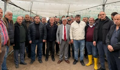 Fiyatlar yarı yarıya düştü, çiftçi isyan etti: Tarım Kredi Kooperatifleri çağrısı