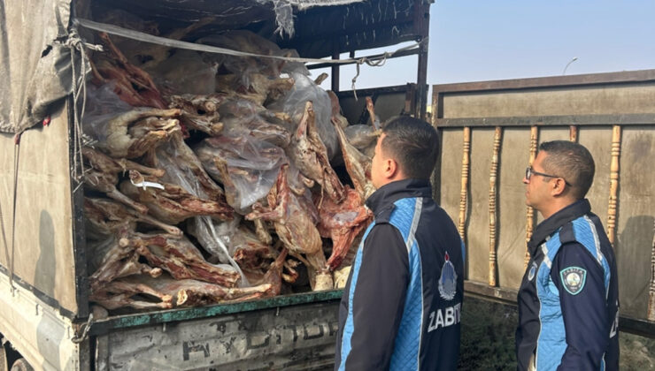 Gaziantep’te 1,9 ton bozulmuş et imha edildi