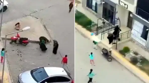 Gaziantep’te ‘komşu’ dehşeti… 6 yaşındaki çocuğu bıçakladı!