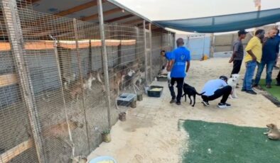 Gazze’nin tek hayvan barınağının çalışanları yemeklerini hayvanlarla paylaştı