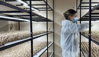 Genç yaşta mesleğini bıraktı, 50 metrekare odada üretime başladı: 1 gramı 600 lira…