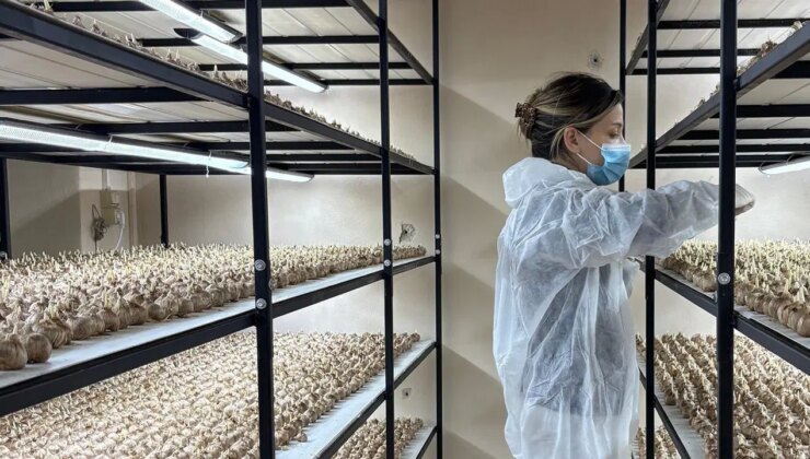 Genç yaşta mesleğini bıraktı, 50 metrekare odada üretime başladı: 1 gramı 600 lira…