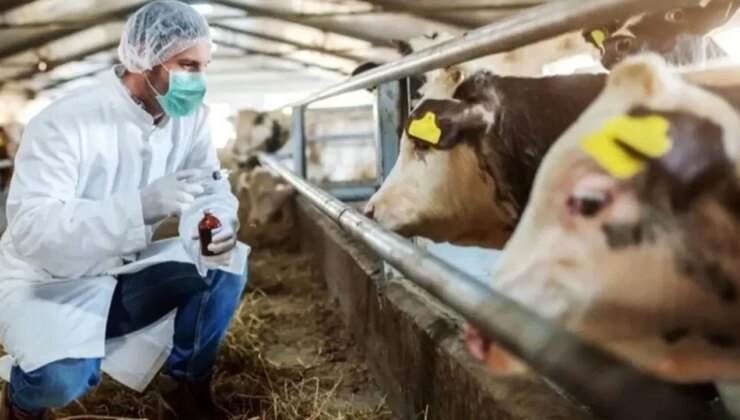 Germencik’te Veterinerlik Hizmetleri İhbar Hattı hizmete açıldı