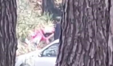 Görüntüler ortaya çıktı: Bir kadın ormanlık alanda darbedildi!