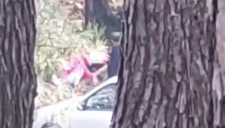 Görüntüler ortaya çıktı: Bir kadın ormanlık alanda darbedildi!