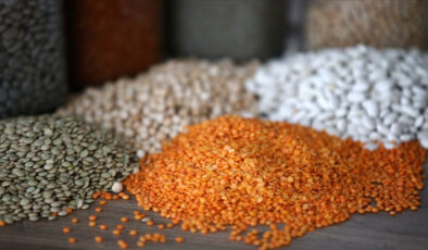 Güneydoğu’dan 3,2 milyar dolarlık hububat ihracatı yapıldı