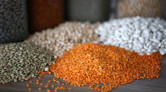 Güneydoğu’dan 3,2 milyar dolarlık hububat ihracatı yapıldı