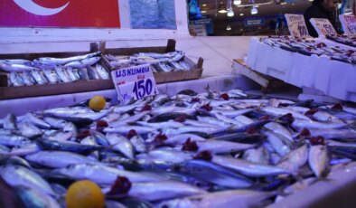 Hamsiyi tahtından etti: Kilosu 100 TL!