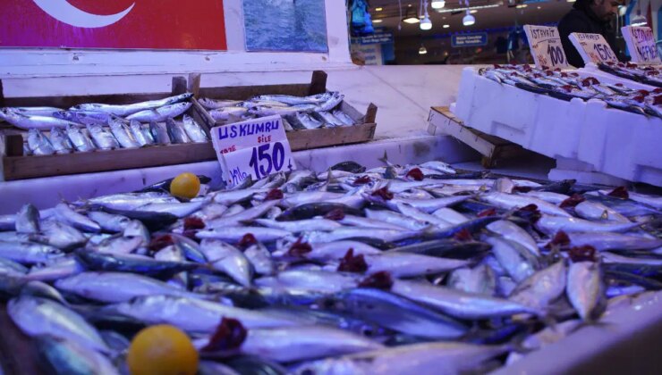 Hamsiyi tahtından etti: Kilosu 100 TL!