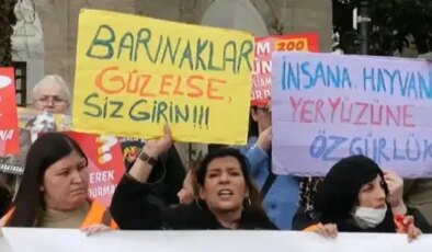 Hayvan hakları için direnişin ve dayanışmanın yılı