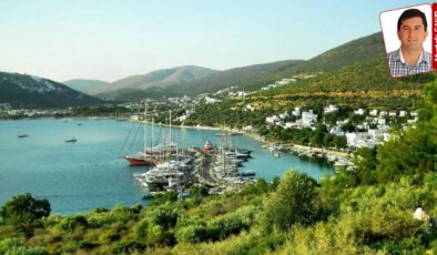 İktidar, kamu arazilerini yatırım için yine şirketlere açtı: Ormana, koya tesis!