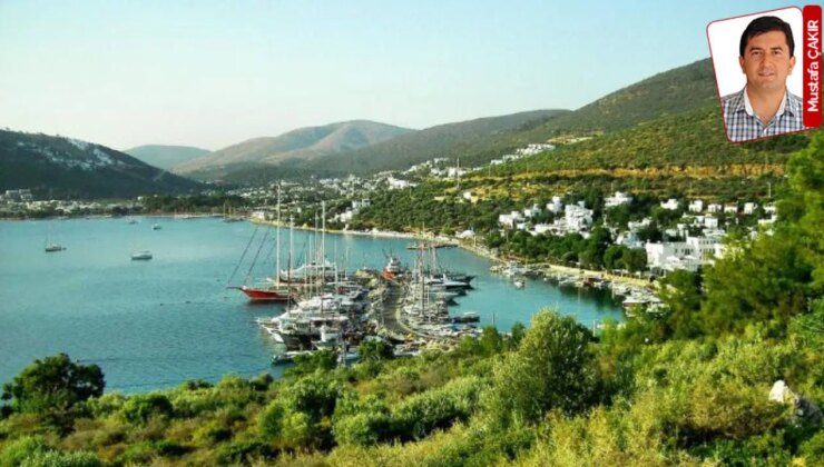 İktidar, kamu arazilerini yatırım için yine şirketlere açtı: Ormana, koya tesis!