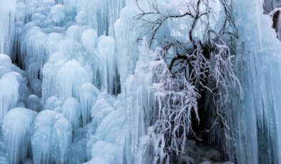 İnsanların hayatta kalabildiği en düşük vücut sıcaklıkları nedir?