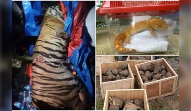 Interpol’den tarihi operasyon: 134 ülkede eş zamanlı baskın