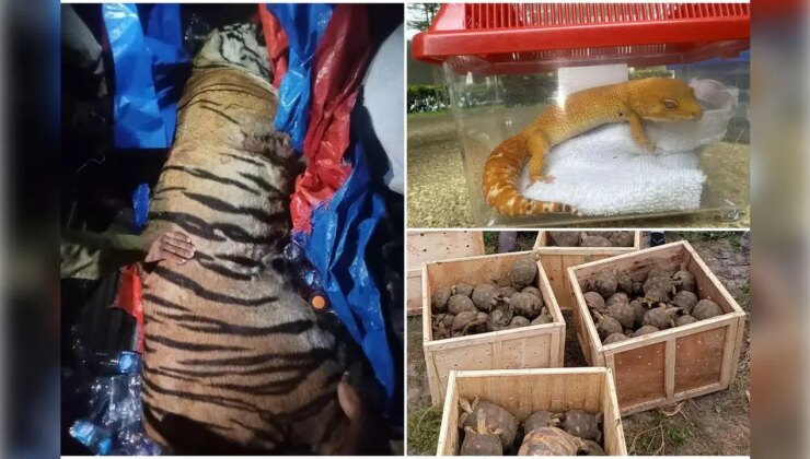 Interpol’den tarihi operasyon: 134 ülkede eş zamanlı baskın