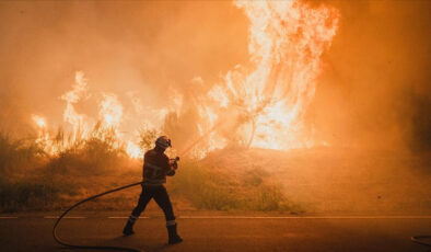 İspanya’da bu yıl 350 bin hektardan fazla ormanlık alan yandı