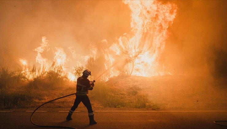 İspanya’da bu yıl 350 bin hektardan fazla ormanlık alan yandı