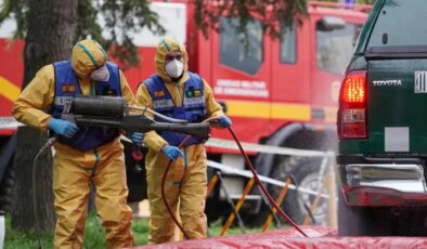 İspanya’da domuz vebası alarmı: 90 belediye karantinaya alındı