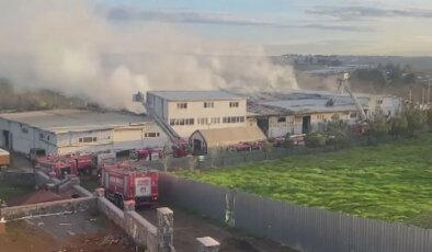 İstanbul Tuzla’da fabrika yangını
