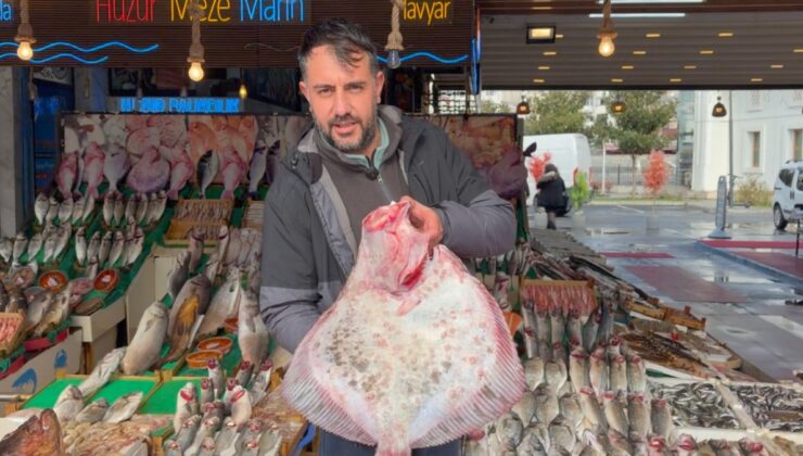 İstanbul’da kalkanın kilosu 1.200 liradan satılıyor