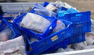 İstanbul’da sağlık skandalı! Yurttaşlara yedireceklerdi… 300 kilogram kırmızı ve beyaz et imha edildi!