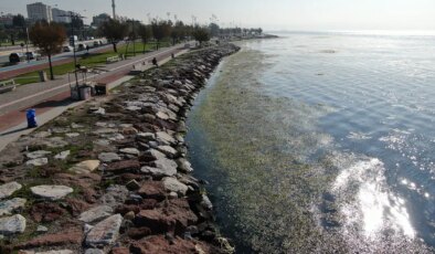 İzmir Körfezi alarm veriyor: Sahil şeridi yeşile döndü!