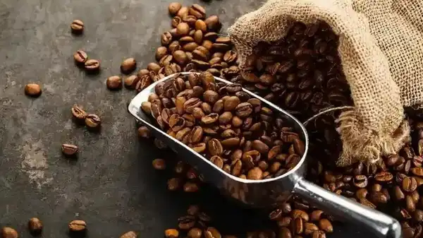 Kahve alışkanlığında rekor: 10 yılda 4 kat arttı!