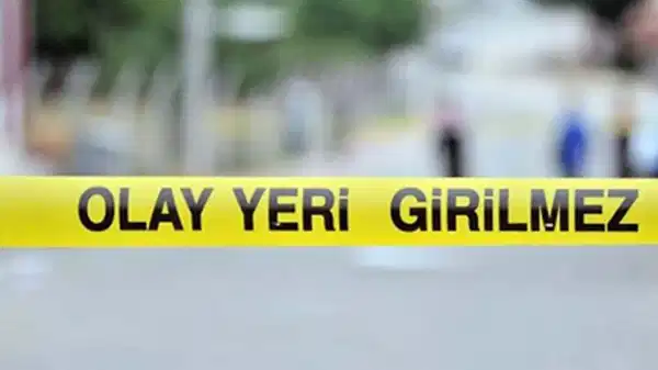 Kamyonla geri manevra yaparken kardeşini ezerek ölümüne neden oldu