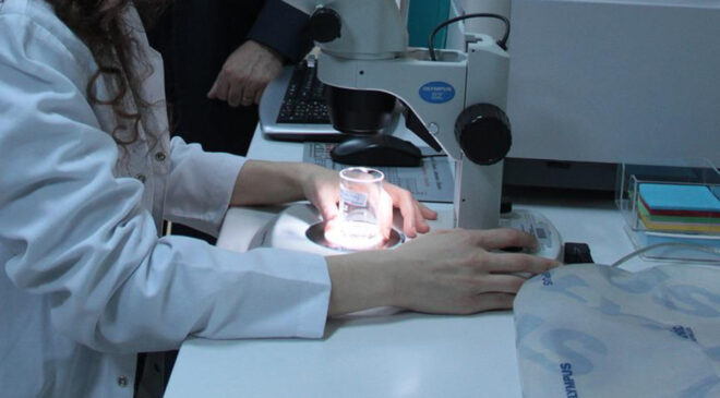 Karabük Üniversitesi’nde kolon kanseri tespitinde yapay zeka devrimi