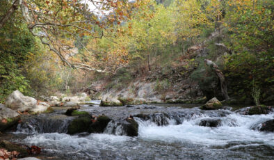 Karanlıkdere Kanyonu’nda sonbaharın son renkleri