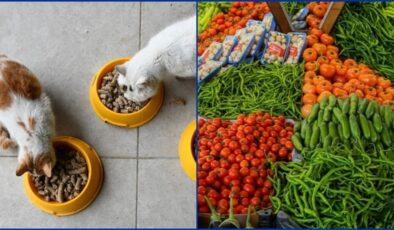 Kasımda fiyatı en çok artan ve azalan ürünler