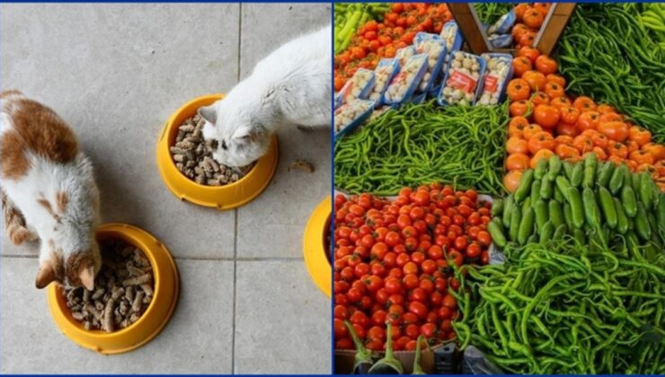 Kasımda fiyatı en çok artan ve azalan ürünler