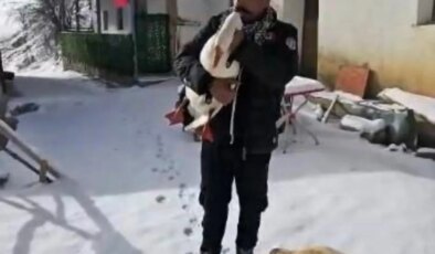 Kazından helallik istedi