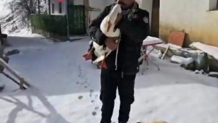 Kazından helallik istedi