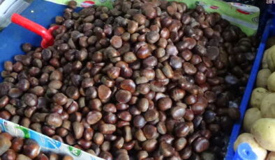 Kestanenin satış fiyatı cep yakıyor: 1 kilo alan kalmadı