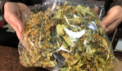 Kışın vazgeçilmezi, şifa kaynağı: Kilosu 4 bin lira